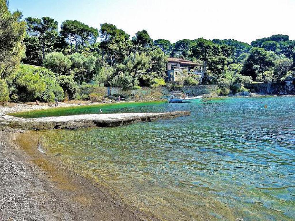 183 D18 PRESQU ILE DE GIENS 1_000024.jpg